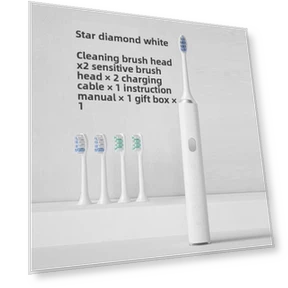 Electric Toothbrush for Adults — Electric Toothbrush Heads, Binchi Health Technology