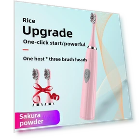 Portable Electric Toothbrush — Chargers, Binchi Health Technology
