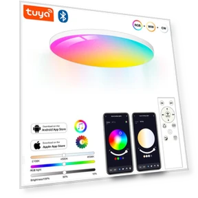 Smart LED Ceiling Light — Overhead Lighting, Build My Home