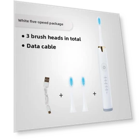 Smart Sonic Toothbrush — Electric Toothbrush Heads, Binchi Health Technology