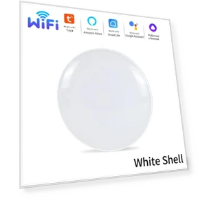 Smart WiFi Ceiling Light — Ceiling Fan Lighting Solutions, Build My Home