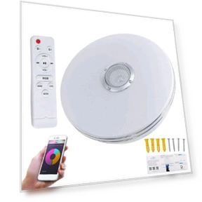 RGB LED Ceiling Light with APP Control — Overhead Lighting, Seahorse Home