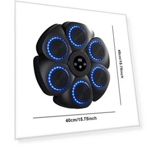 Smart Musical Boxing Trainer — Boxing Training Gear, Crowner