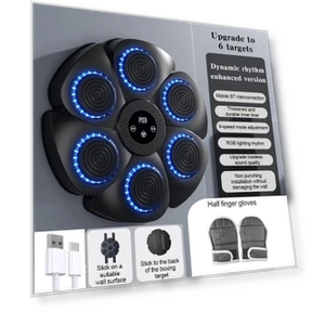 Bluetooth Smart Boxing Machine with Gloves — Boxing Training Gear, Crowner