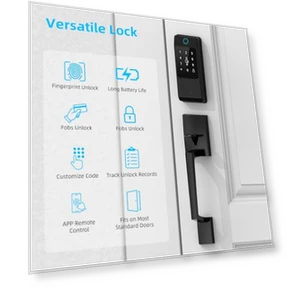 Keyless Entry Door Locks Handle Set — Smart Home Security, Miuedo