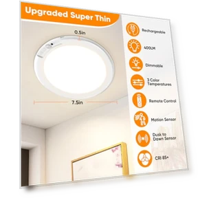 Motion Sensor Ceiling Light — Overhead Lighting, Bairth