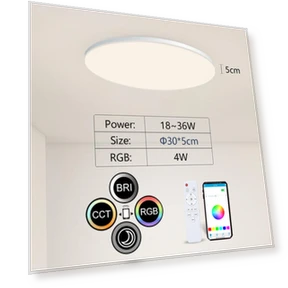 Smart Ceiling Light — Overhead Lighting, Rainbow Rain