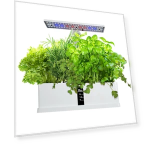 Hydroponic Smart Growing System — Germination Kits, TOMTOP JMS
