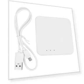 Multi-mode Gateway — Smart Home Hubs & Controllers, TOP MALL-004
