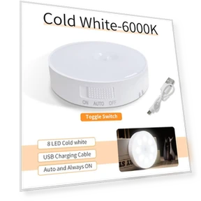 Rechargeable LED Motion Sensor Light — Garden Illumination, Xiao Home