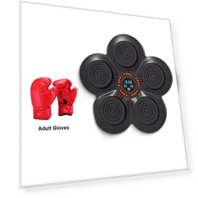 Smart Musical Boxing Trainer with Gloves — Boxing Training Gear, TOMTOP JMS