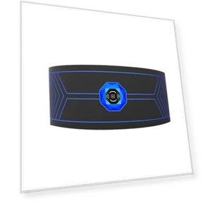 Smart Weight Loss Belt — Belts, Binchi Keji Travel