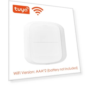 2 Gang Wireless Remote Control Switch — Smart Home Hubs & Controllers, HIMO Group
