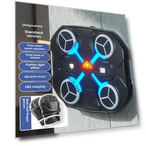 Bluetooth Musical Boxing Target Toy — Interactive Learning Devices, AI Supermarket
