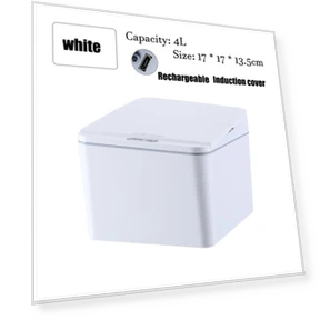 Electric Smart Induction Storage Box — Storage & Organization Solutions, DC-HOME-4
