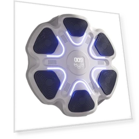 Smart Musical Boxing Trainer — Training Focus Mitts, SunshineTek