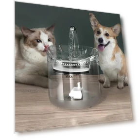 Smart Water Dispenser for Pets — Feeding Supplies, YC Direct