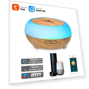 Smart Wi-Fi LED Night Light Humidifier with Aromatherapy Diffuser — Air Moisturizers, Neoglint