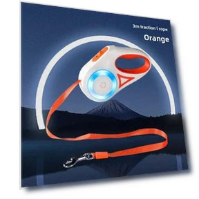 Automatic Retractable LED Dog Leash — Training Leads, Smart Pet Supplies