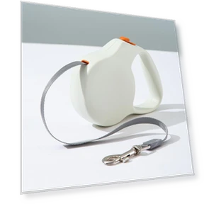 Automatic Telescopic Dog Leash — Training Leads, Smart Pet Supplies