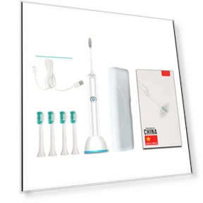 Electric Toothbrush for Adults with Inductive Charging — Electric Toothbrush Heads, Binchi Health Technology