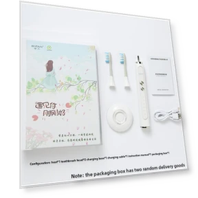 Electric Toothbrush for Adults — Chargers, Binchi Health Technology