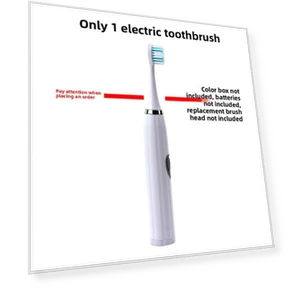 Electric Toothbrush for Adults — Rotating Electric Toothbrushes, Binchi Health Technology