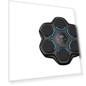 Electronic Boxing Trainer — Boxing Training Gear, Binchi Keji Travel