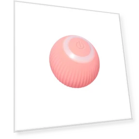 Interactive Cat Ball — Cat Playthings, BC Pet Supplies