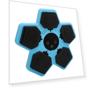 Interactive Smart Musical Boxing Trainer — Kids Fitness, Lixada