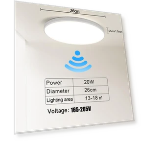 LED Ceiling Light with Motion Sensor — Step Lights, Canmeijia