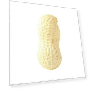 Simulation Peanut Interactive Teeth Grinding Toy — Toys, Smart Pet Supplies