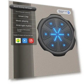 Smart Bluetooth Boxing Target — Boxing Training Gear, Binchi Outdoor Equipment