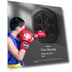 Smart Bluetooth Boxing Trainer — Boxing Training Gear, Binchi Outdoor Equipment