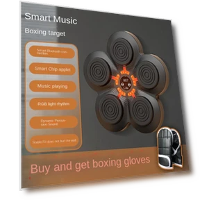 Smart Bluetooth Boxing Wall Trainer — Boxing Training Gear, Binchi Outdoor Equipment