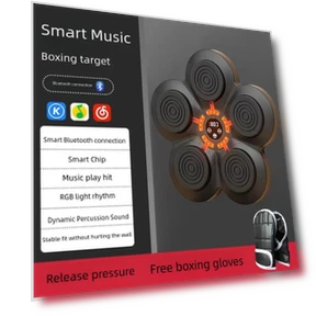 Smart Bluetooth Boxing Wall — Boxing Training Gear, Binchi Keji Travel