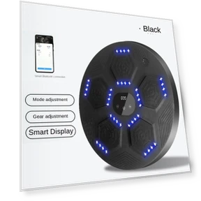 Smart Bluetooth Music Boxing Trainer — Boxing Training Gear, Binchi Outdoor Equipment