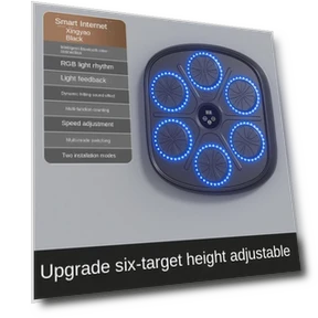 Smart Bluetooth Music Boxing Wall Target — Boxing Training Gear, Binchi Outdoor Equipment