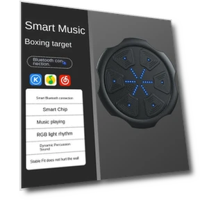 Smart Boxing Trainer — Boxing Training Gear, Binchi Outdoor Equipment