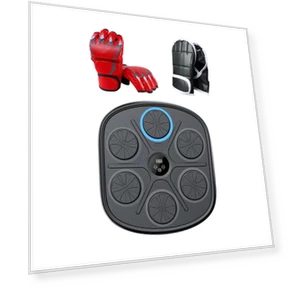 Smart Boxing Trainer — Boxing Training Gear, Binchi Keji Travel