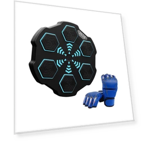 Smart Boxing Trainer — Boxing Training Gear, Binchi Keji Travel