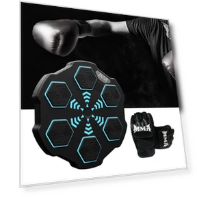 Smart Electronic Boxing Target — Boxing Training Gear, Binchi Keji Travel