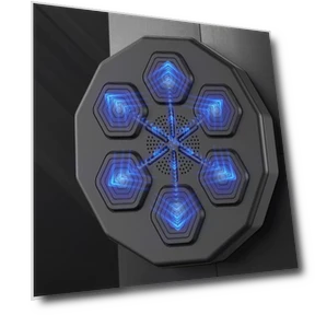 Smart Fight Target — Home Gyms, Binchi Outdoor Equipment