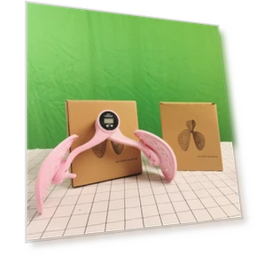 Smart Kegel Muscle Trainer — Core & Ab Trainers, Binchi Outdoor Equipment