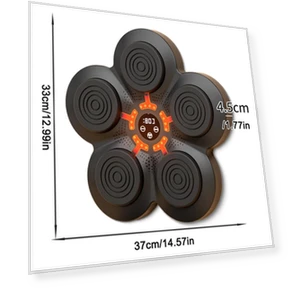 Smart Music Bluetooth Boxing Wall Target — Boxing Training Gear, Binchi Keji Travel