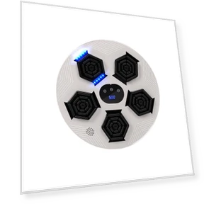 Smart Music Boxing Machine — Boxing Training Gear, Binchi Outdoor Equipment
