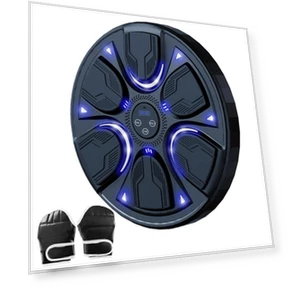 Smart Music Boxing Trainer — Boxing Training Gear, Binchi Keji Travel