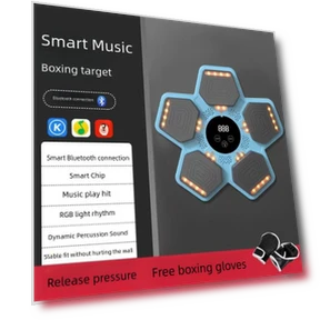 Smart Musical Boxing Machine — Boxing Training Gear, Binchi Keji Travel