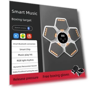 Smart Musical Boxing Machine — Boxing Training Gear, Binchi Keji Travel