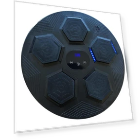Smart Musical Boxing Target — Home Gyms, Binchi Outdoor Equipment